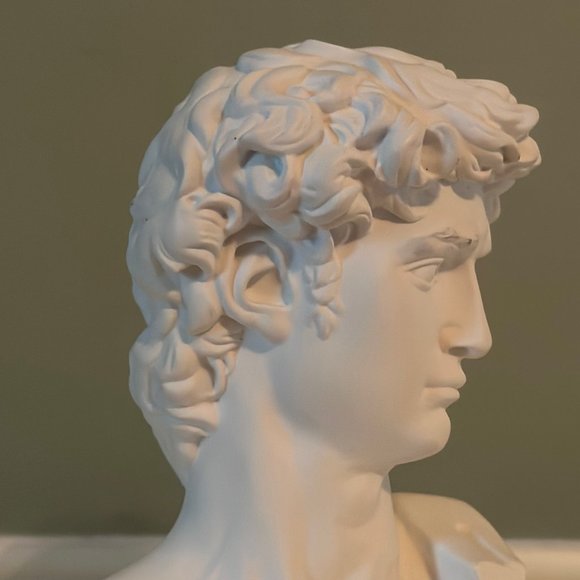 Michelangelo's David Bust - Picture 13 of 16